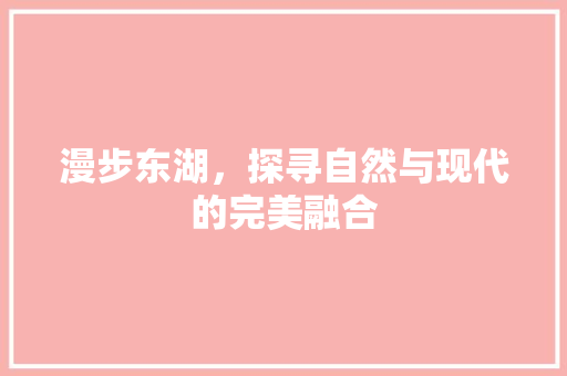 漫步东湖，探寻自然与现代的完美融合