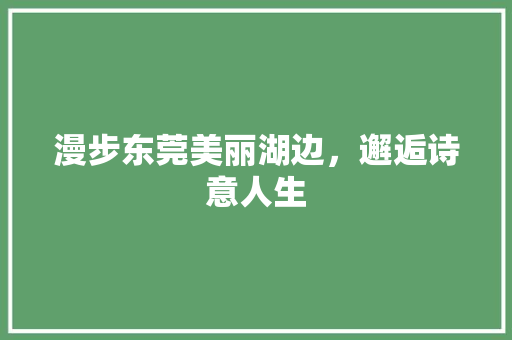 漫步东莞美丽湖边，邂逅诗意人生