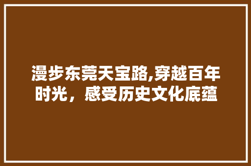 漫步东莞天宝路,穿越百年时光，感受历史文化底蕴