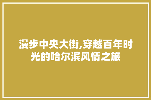 漫步中央大街,穿越百年时光的哈尔滨风情之旅