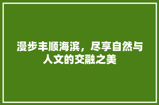 漫步丰顺海滨，尽享自然与人文的交融之美