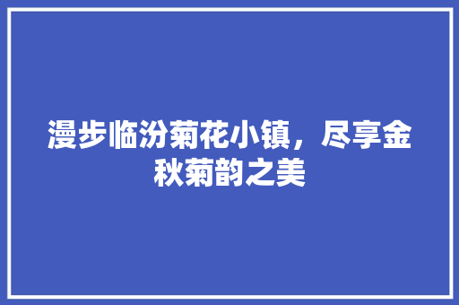 漫步临汾菊花小镇，尽享金秋菊韵之美