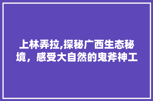 上林弄拉,探秘广西生态秘境，感受大自然的鬼斧神工