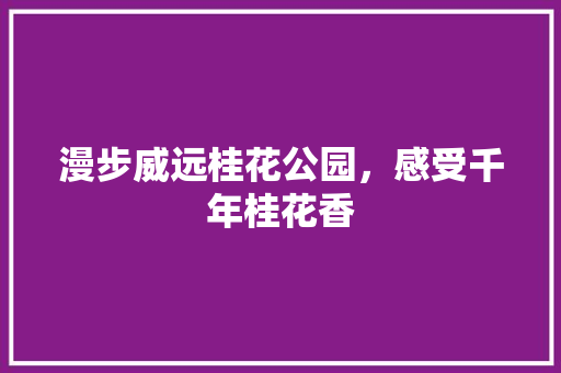 漫步威远桂花公园，感受千年桂花香