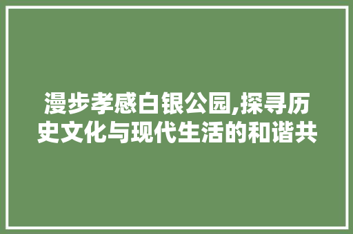 漫步孝感白银公园,探寻历史文化与现代生活的和谐共鸣