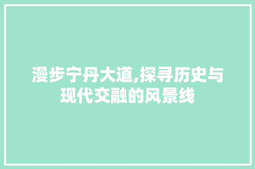 漫步宁丹大道,探寻历史与现代交融的风景线