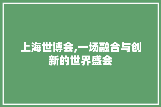 上海世博会,一场融合与创新的世界盛会