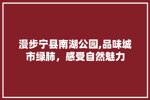 漫步宁县南湖公园,品味城市绿肺，感受自然魅力