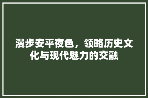 漫步安平夜色，领略历史文化与现代魅力的交融