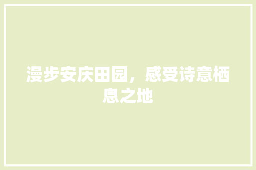 漫步安庆田园，感受诗意栖息之地