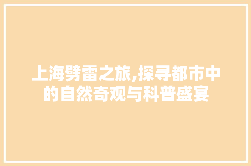 上海劈雷之旅,探寻都市中的自然奇观与科普盛宴