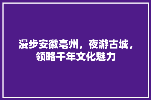 漫步安徽亳州，夜游古城，领略千年文化魅力