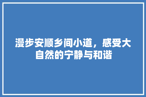 漫步安顺乡间小道，感受大自然的宁静与和谐