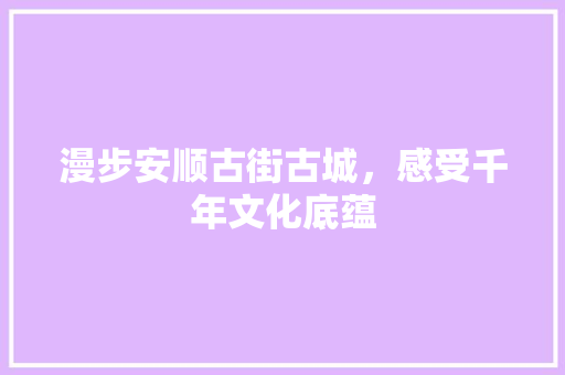 漫步安顺古街古城，感受千年文化底蕴