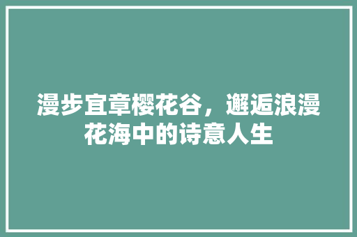 漫步宜章樱花谷，邂逅浪漫花海中的诗意人生  第1张