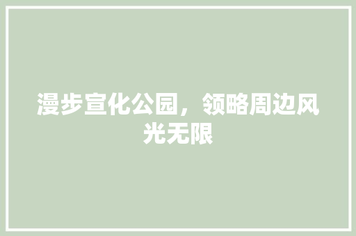 漫步宣化公园，领略周边风光无限