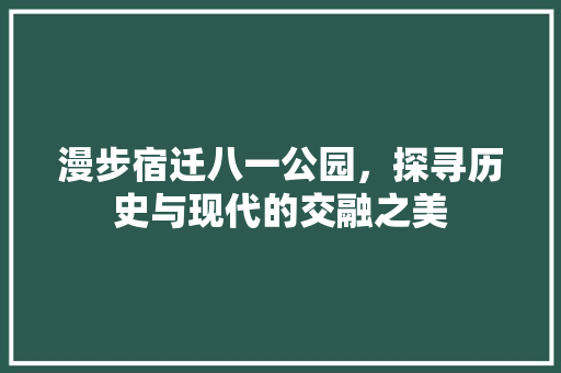 漫步宿迁八一公园，探寻历史与现代的交融之美