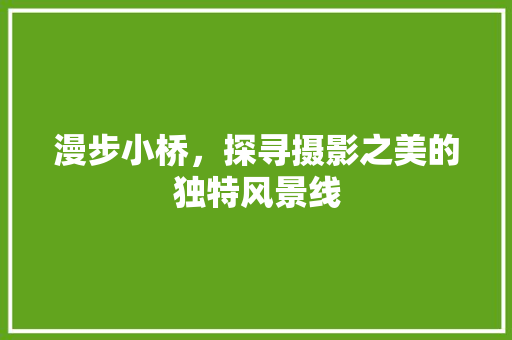 漫步小桥，探寻摄影之美的独特风景线