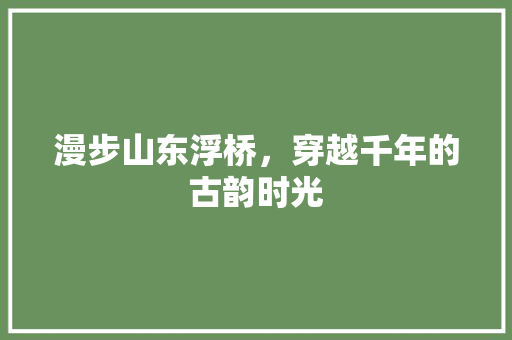 漫步山东浮桥，穿越千年的古韵时光  第1张