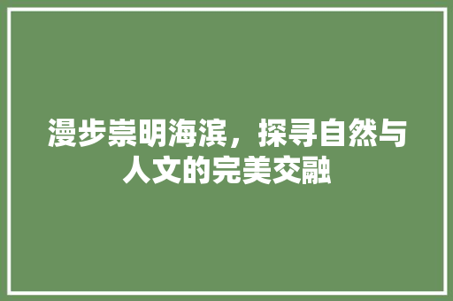 漫步崇明海滨，探寻自然与人文的完美交融