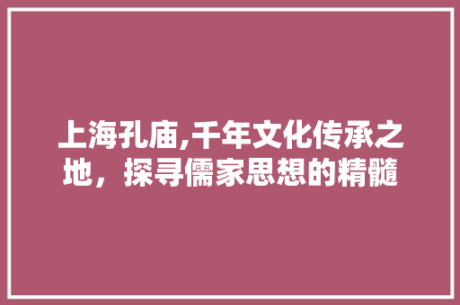 上海孔庙,千年文化传承之地，探寻儒家思想的精髓