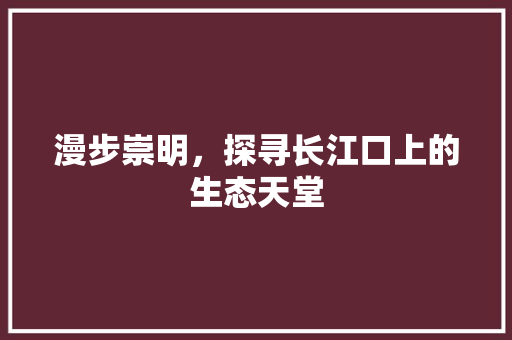 漫步崇明，探寻长江口上的生态天堂