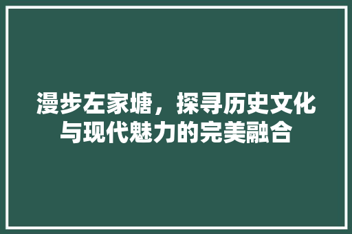 漫步左家塘，探寻历史文化与现代魅力的完美融合