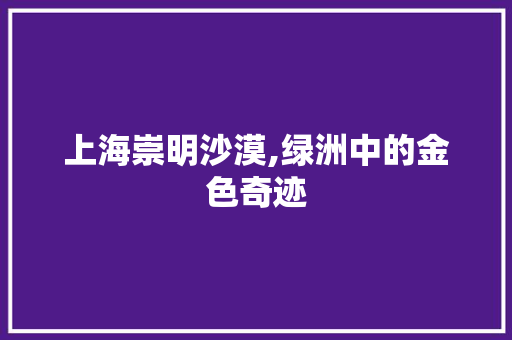 上海崇明沙漠,绿洲中的金色奇迹