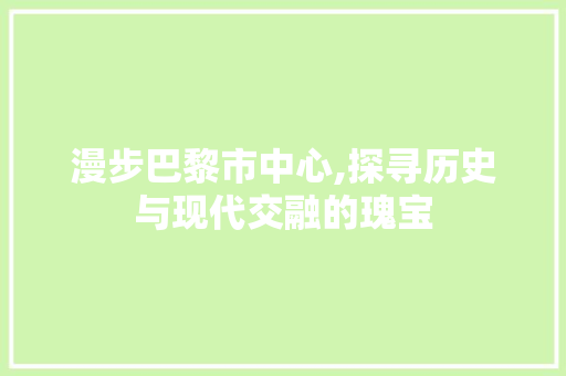 漫步巴黎市中心,探寻历史与现代交融的瑰宝