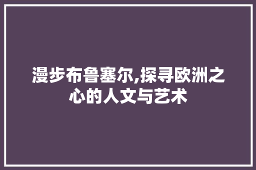 漫步布鲁塞尔,探寻欧洲之心的人文与艺术