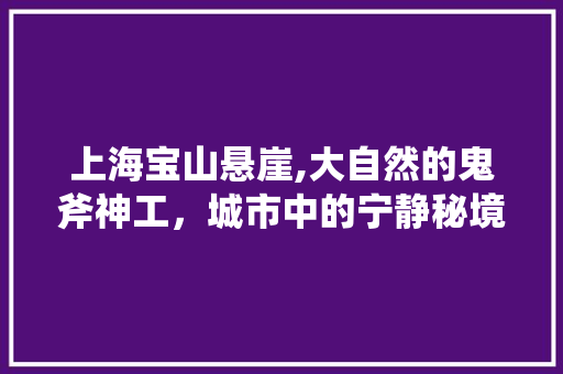 上海宝山悬崖,大自然的鬼斧神工，城市中的宁静秘境