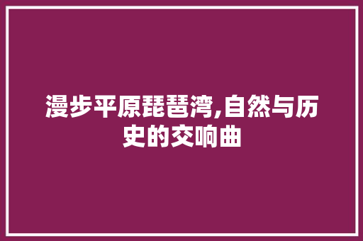 漫步平原琵琶湾,自然与历史的交响曲