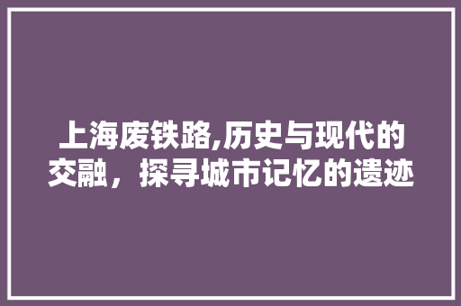 上海废铁路,历史与现代的交融，探寻城市记忆的遗迹