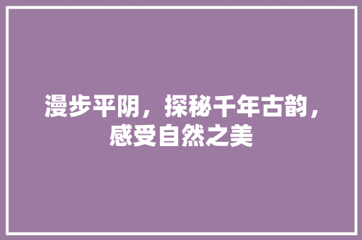 漫步平阴，探秘千年古韵，感受自然之美