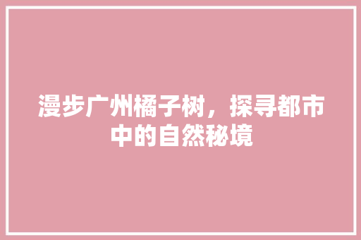 漫步广州橘子树，探寻都市中的自然秘境