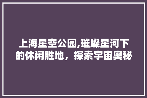 上海星空公园,璀璨星河下的休闲胜地，探索宇宙奥秘的奇幻之旅