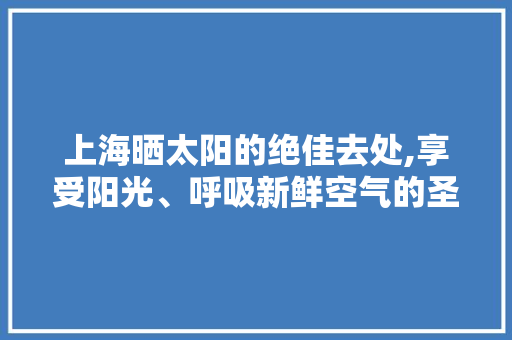 上海晒太阳的绝佳去处,享受阳光、呼吸新鲜空气的圣地