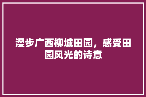 漫步广西柳城田园，感受田园风光的诗意