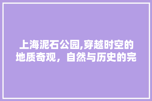 上海泥石公园,穿越时空的地质奇观，自然与历史的完美融合