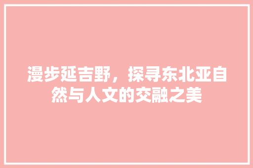 漫步延吉野，探寻东北亚自然与人文的交融之美