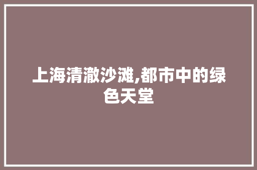 上海清澈沙滩,都市中的绿色天堂