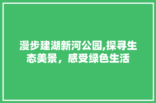 漫步建湖新河公园,探寻生态美景，感受绿色生活