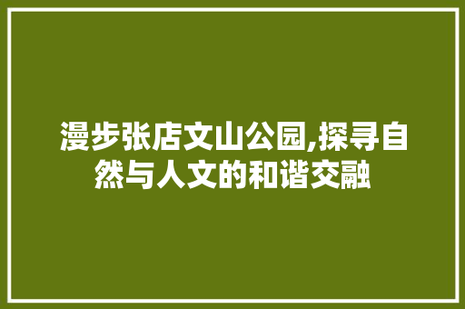 漫步张店文山公园,探寻自然与人文的和谐交融