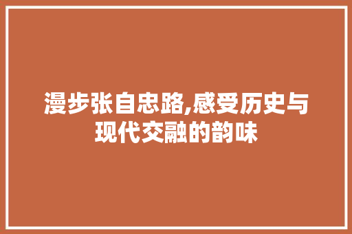 漫步张自忠路,感受历史与现代交融的韵味