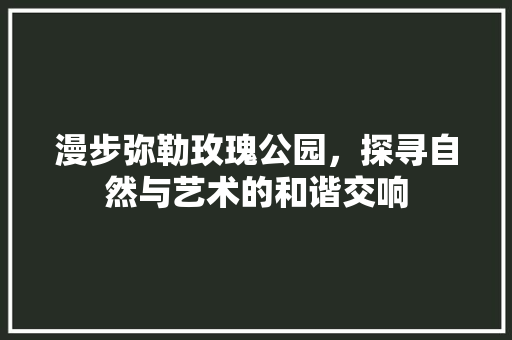 漫步弥勒玫瑰公园，探寻自然与艺术的和谐交响