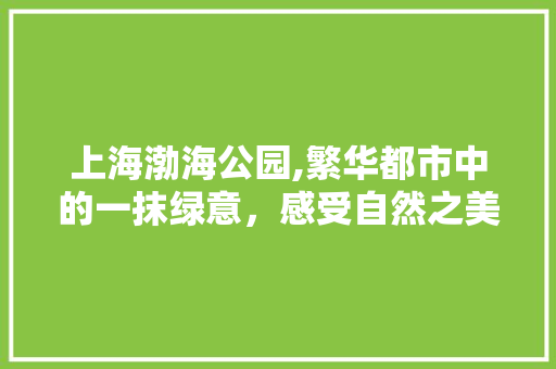 上海渤海公园,繁华都市中的一抹绿意，感受自然之美  第1张