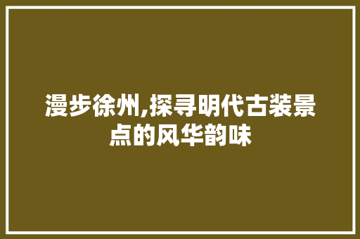 漫步徐州,探寻明代古装景点的风华韵味