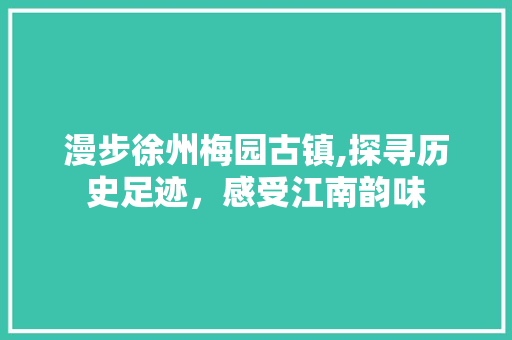 漫步徐州梅园古镇,探寻历史足迹，感受江南韵味