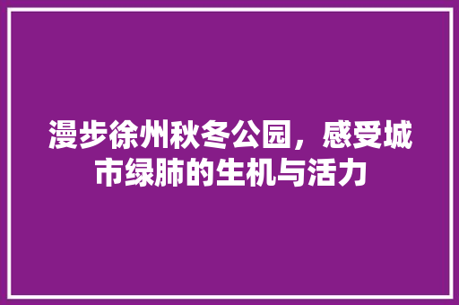 漫步徐州秋冬公园，感受城市绿肺的生机与活力