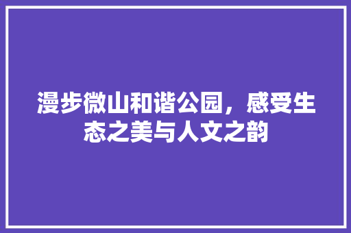 漫步微山和谐公园，感受生态之美与人文之韵